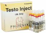 Testo Inject 250 mg (10 ampoules)
