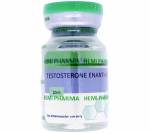 Testosterone Enanthate 300 mg (1 vial)